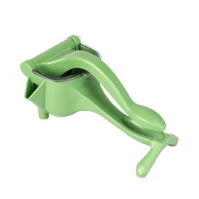 Fruit Juicer