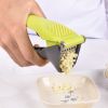 Stainless Steel Manual Garlic Press