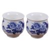 Chinese Ceramic Tea Cup