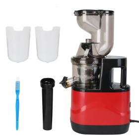 300W Cold Press Juicer Machine