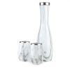 Stainless Steel Carafe and Wine Glass Set