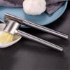 Kitchen Garlic Press