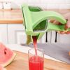 Fruit Juicer