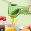 Fruit Juicer